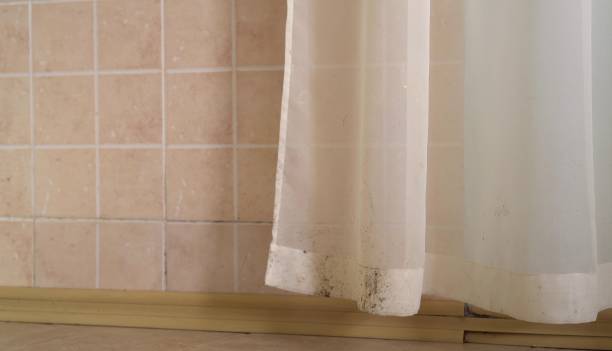 Best Post-Construction Mold Inspection  in Santa Nella, CA