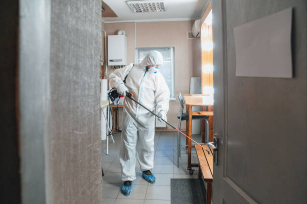 Best Crawl Space Mold Remediation  in Santa Nella, CA