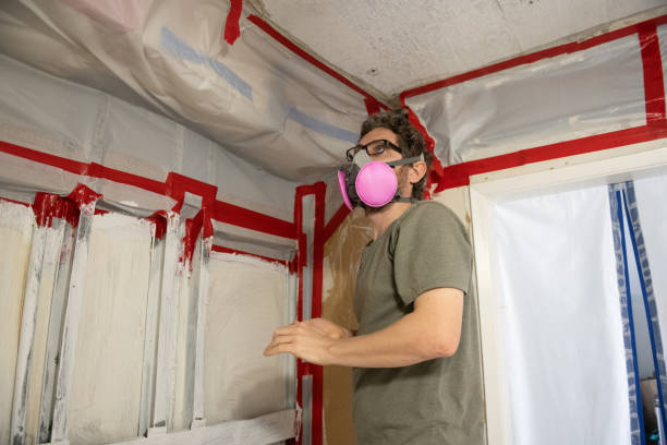Best Industrial Mold Remediation  in Santa Nella, CA