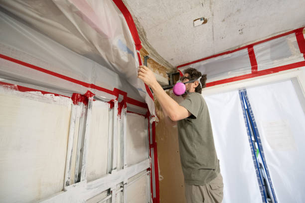 Reliable Santa Nella, CA Mold Removal Solutions