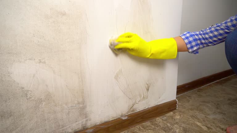 Best Water Damage & Mold Remediation  in Santa Nella, CA