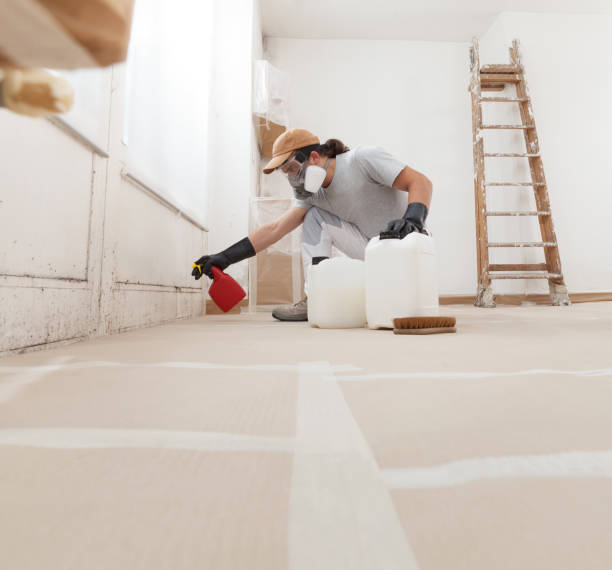 Best Forensic Mold Investigation  in Santa Nella, CA